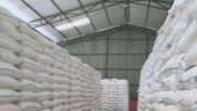 Stok beras di gudang Bulog dipastikan cukup tiga bulan ke depan