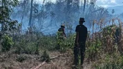 Tim gabungan berusaha memadamkan kebakaran hutan dan lahan di Desa Baliara, Kecamatan Parigi Barat, Parigi Moutong. Foto: BPBD Sulteng